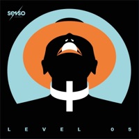 Senso Sounds Level 05 - EP - Alex Stein, Olivier Giacomotto, Murat Uncuoglu & Distale