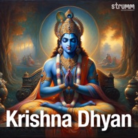 Krishna Dhyan - Om Voices, Bhakti Life, Sanjeev Abhyankar & Vikram Hazra