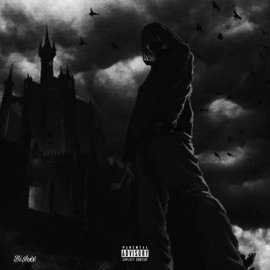 Lady (feat. Itsdboy) Bi$hxx