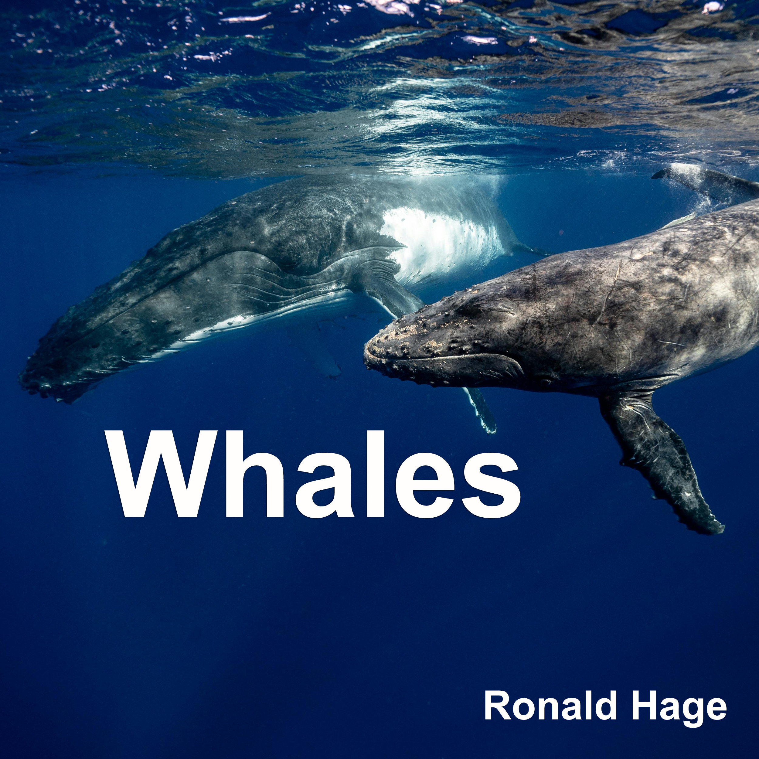 Ronald Hage - Whales
