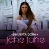 jake jake