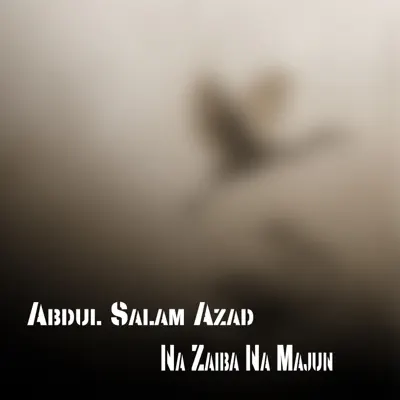 Ouça Na Zaiba Na Majun de Abdul Salam Azad.