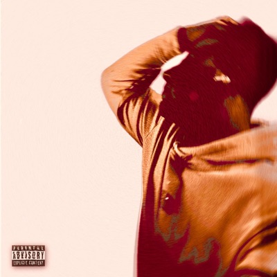 It's A Wrap (Deluxe)