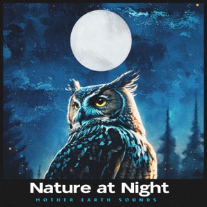 Nature at Night