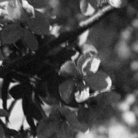 XTRA(luh) - Single - Pulp Cruz & Willyynova