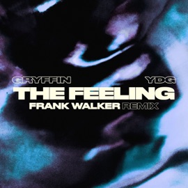 The Feeling (Frank Walker Remix) Gryffin & YDG