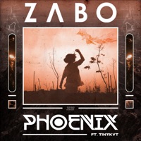 Phoenix (feat. TINYKVT) - Single - ZABO
