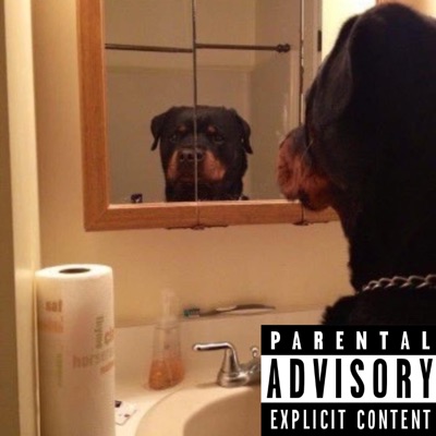 OBOY DA DAWG - Single