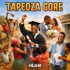 Hlgm - Tapedza Gore