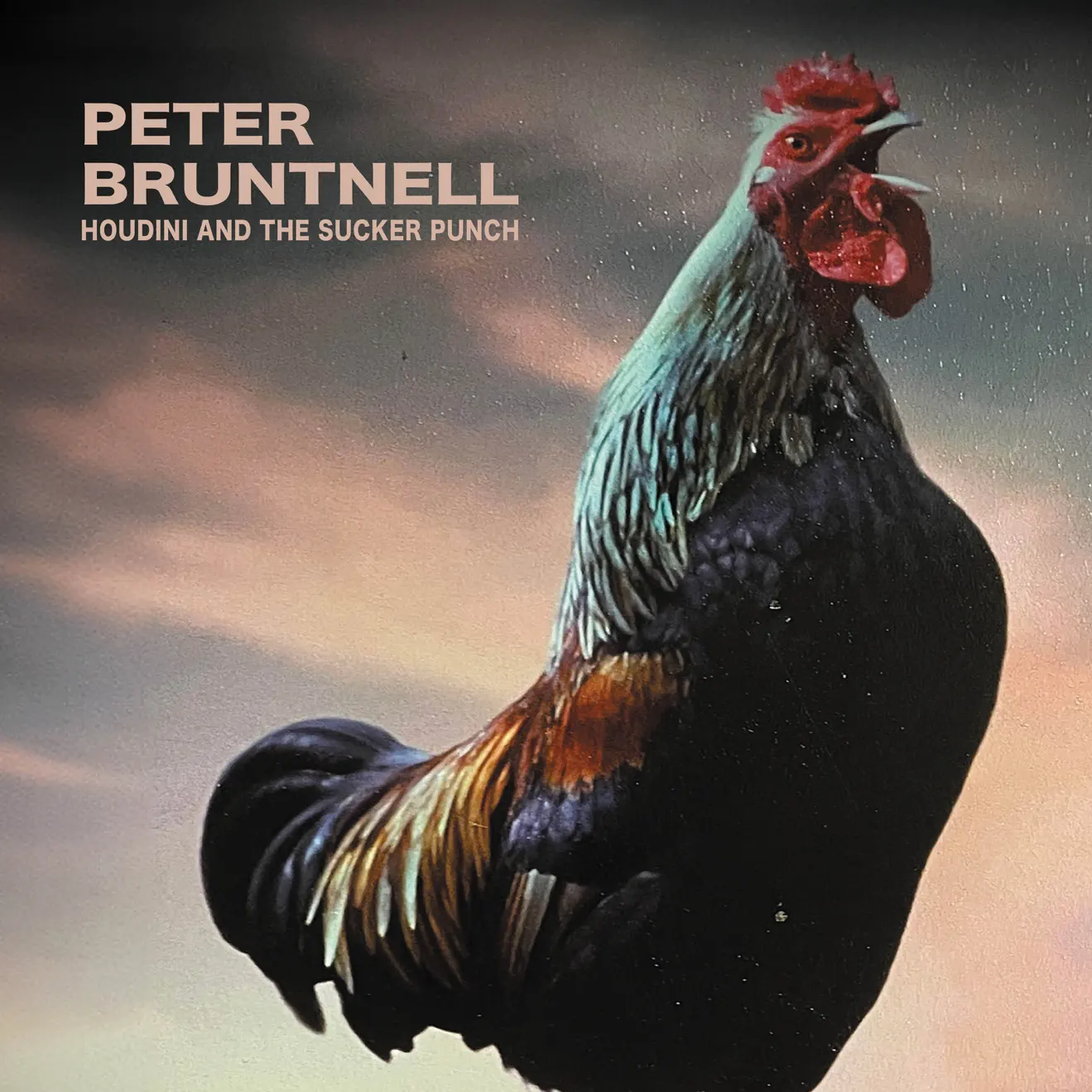 Peter Bruntnell – Houdini and the Sucker Punch (2024) [iTunes Match M4A]