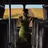 Peki Öyle Olsun