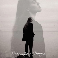 Dönmüyor Dünya (feat. Feray) - Single - Anatolia Echo