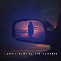 I Don't Want To Say Goodbye - Single - Joshua Belliardo