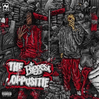 The Biggest Opposite - EP