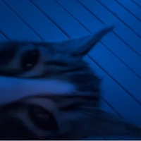 Dead Enough - Single - YAXIS