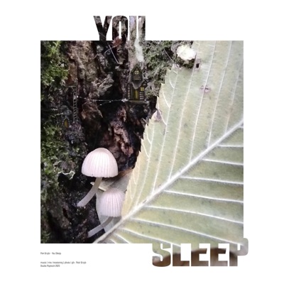 You Sleep - EP