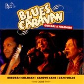 Blues Caravan 2008 - Guitars & Feathers artwork