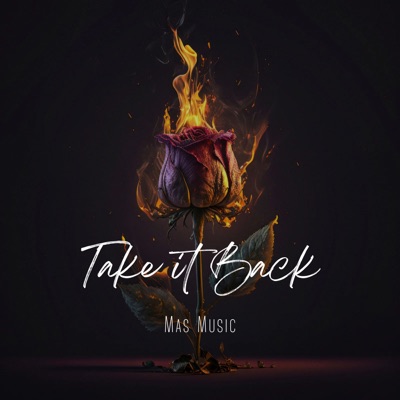 Take It Back - Single
