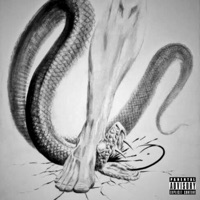 The Snakes (Watch Out) (feat. Panamaniakz) - Single - Dragon Drop
