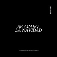 Se Acabo La Navidad (feat. Dj Charly) - Single - Dj Alex Del Callao