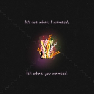 It's not what I wanted, it's what you wanted - Single