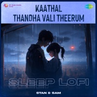 Kaathal Thandha Vali Theerum (Sleep Lofi) - Single - Karthik, Ganga, R. P. Patnaik & Nandalala