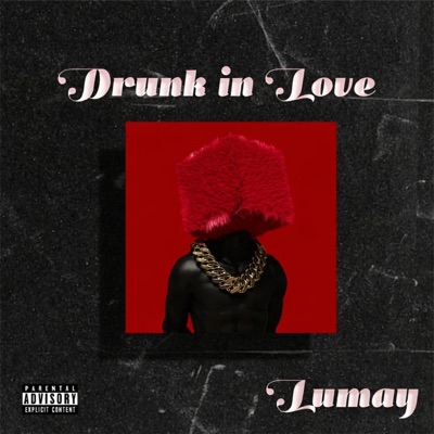 Drunk in Love - Single