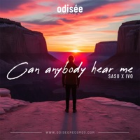 Can Anybody Hear Me - Single - Sasu & Ivo