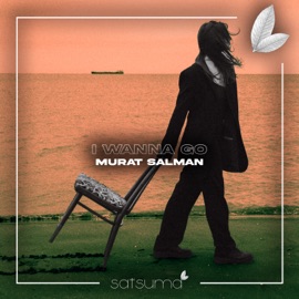 I Wanna Go (Radio Mix) Murat Salman