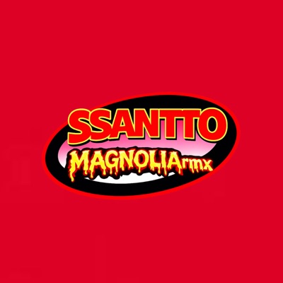 Magnolia Rmx - Single