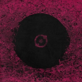 Brain Activity EvoluSHAWN