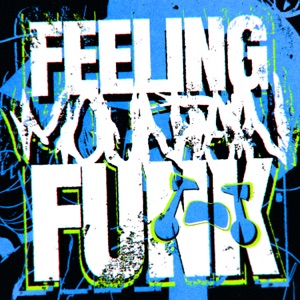 FEELING MOUNTAIN FUNK - EP