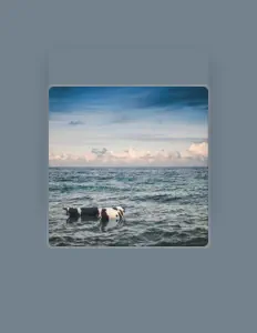 Ouve Dial Alaska, vê vídeos de música, lê a biografia, vê as datas da digressão e muito mais!