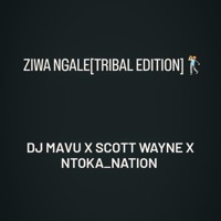 Ziwa Ngale(Tribal Edition) - Single - DJ Mavu, Ntoka_Nation & Scott Wayne