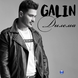 Дилема Galin