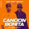 Canción Bonita (feat. Adolflow) - Alfonso Music & Aionix lyrics