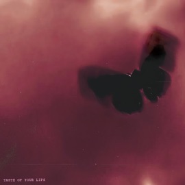 Taste of your lips VOOICE