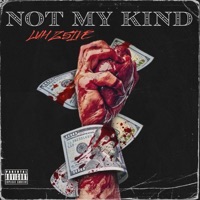 Not My Kind (feat. Luh Ebrake & Backdooryn) - Single - Luh Z5ive