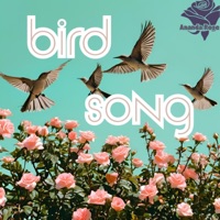 Bird Song, Pt. 1 - Single - ANANDA ROSE