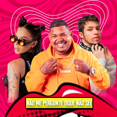 Não Me Pergunte Oque Não Sei - Single
