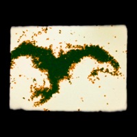 Wartilla (Dan Carey Dub) - Single - Tinariwen, Dan Carey, Warren Ellis & Stephen O'Malley