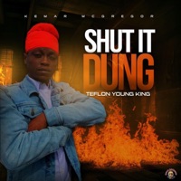Shut It Dung - Single - Teflon Young King & Teflon