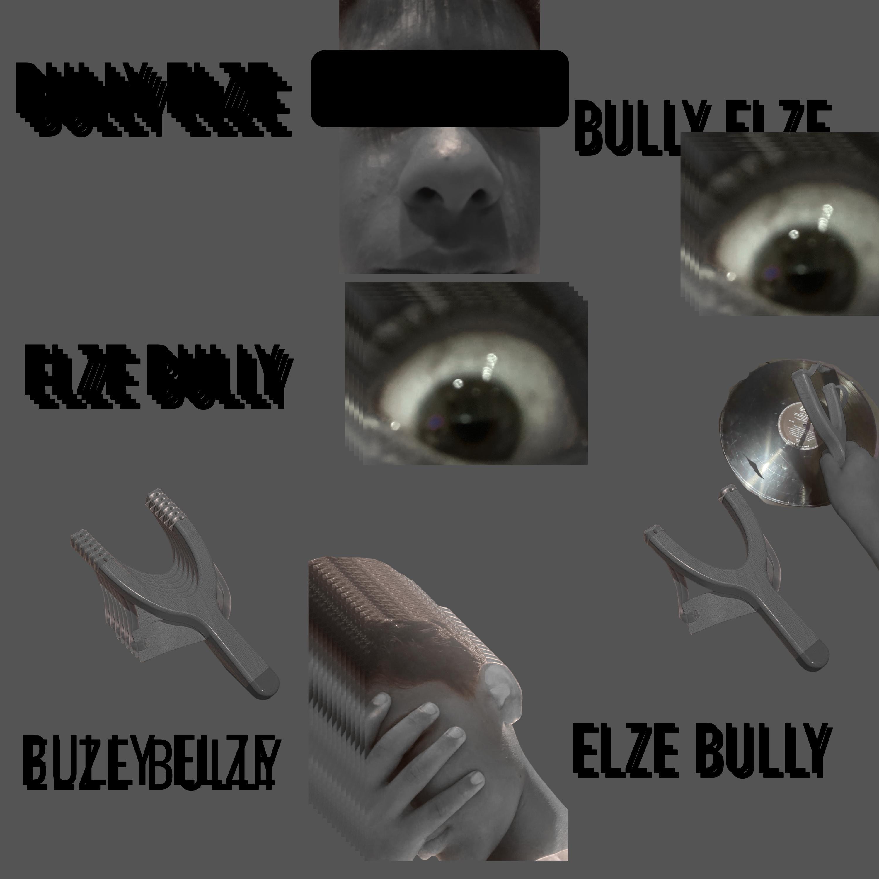 COME ON BULLY ELZE - Single