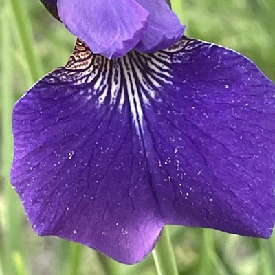 Twenty up and down - Single