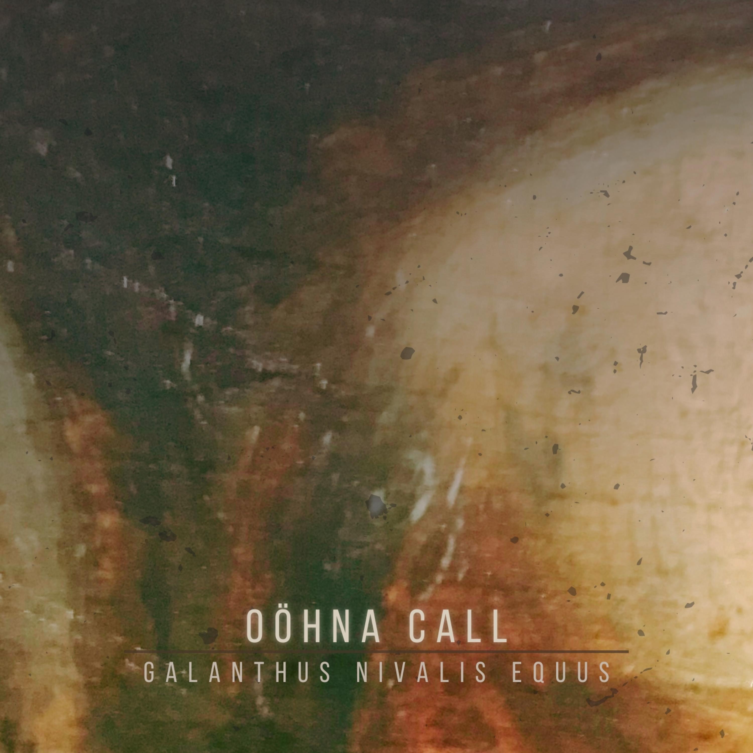 Galanthus Nivalis Equus - Single