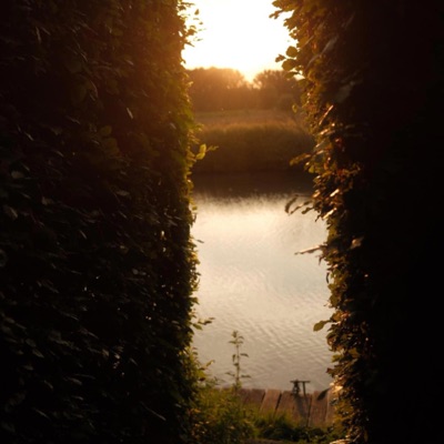 Scars will heal - Single