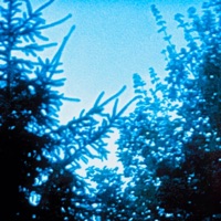 Stellar - Single - Swink