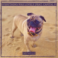 Everything Was Lovely (feat. Capital P) - Single - Deynellz