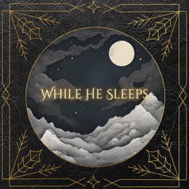 While He Sleeps (Instrumental) Through This War