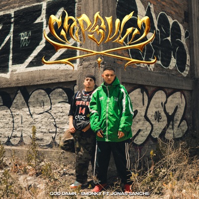 God Damn (Capsula X) [feat. Jonas Sanche] - Single